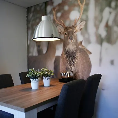 Apartment Auf Der Platte 1 Winterberg